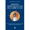 Prières merveilleuses de l'Abbé Julio | Dans les Yeux de Gaïa
