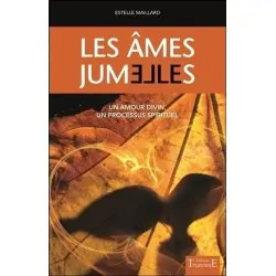 Les Âmes jumelles - Livre |Dans les Yeux de Gaïa - Couverture