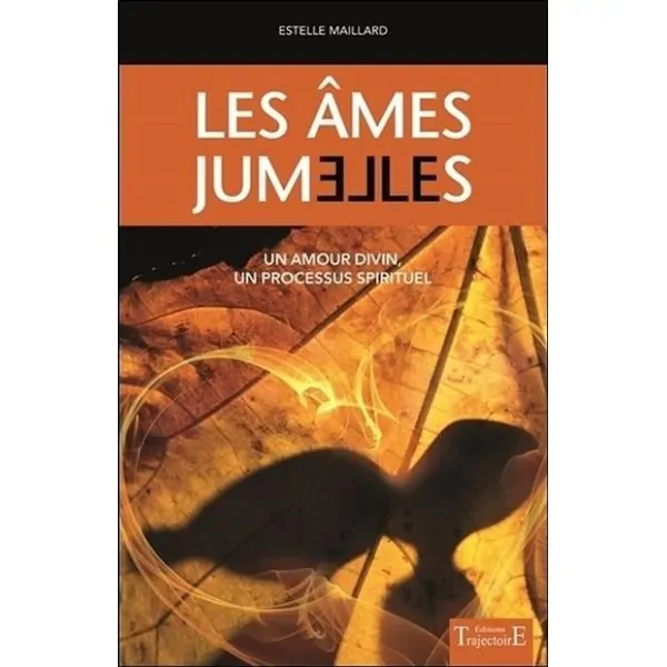 Les Âmes jumelles - Livre |Dans les Yeux de Gaïa - Couverture