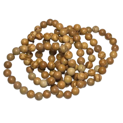 Bracelet en Bois fossile 8mm