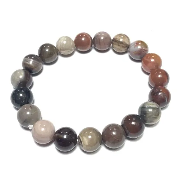 Bracelet en Agate fossile 10mm - Lithothérapie |Dans les Yeux de Gaïa