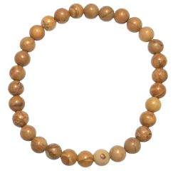 Bracelet en bois fossile 6mm | Dans les yeux de Gaïa
