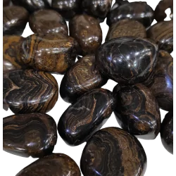 Pierre roulée Stromatolite