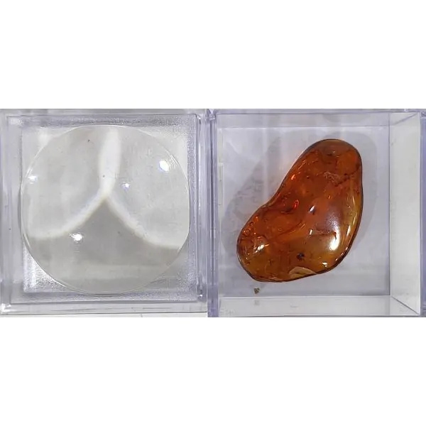 Ambre avec inclusions d'insectes grand modèle 2 | Dans les yeux de Gaïa