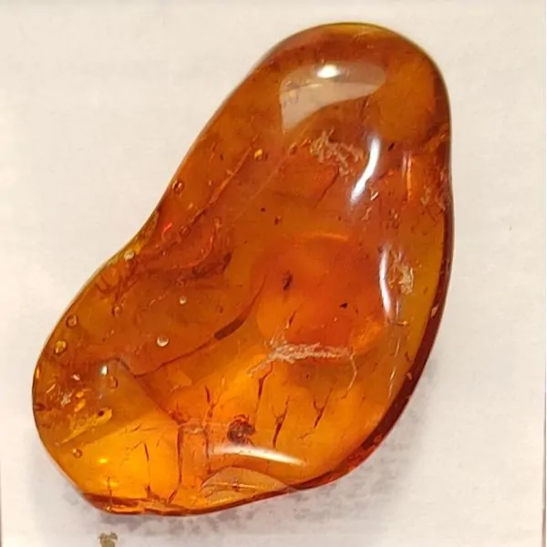 Ambre avec inclusions d'insectes grand modèle 3 | Dans les yeux de Gaïa