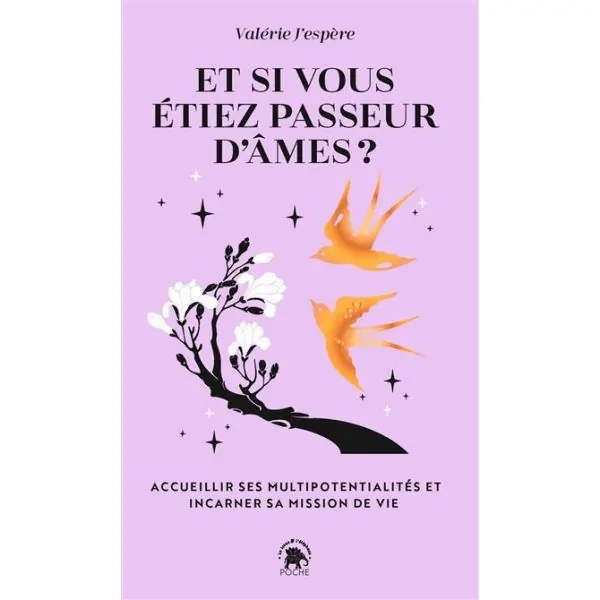 Et si vous étiez passeur d'âmes - Médiumnité & développement personnel |Dans les Yeux de Gaïa - Couverture