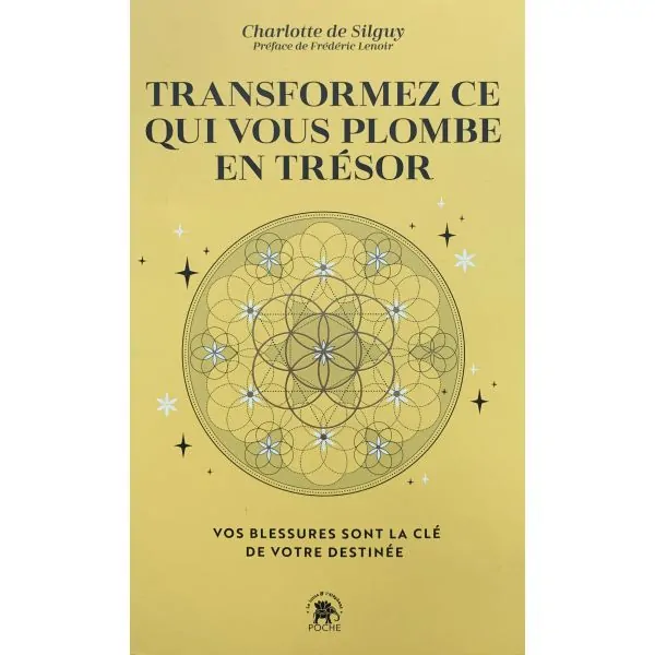 Transformez ce qui vous plombe en trésor couverture
