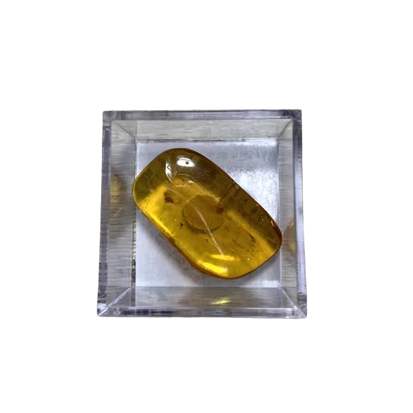 Ambre avec inclusions d'insectes grand modèle |Dans les Yeux de Gaïa