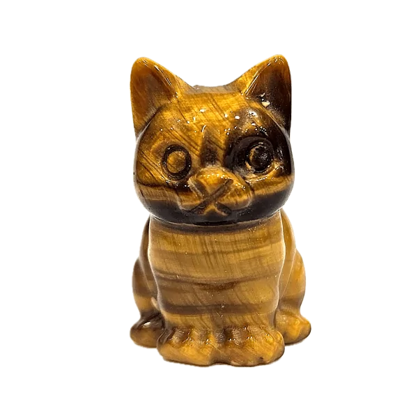 Petit chat en Oeil de Tigre - amour | Dans les yeux de Gaïa