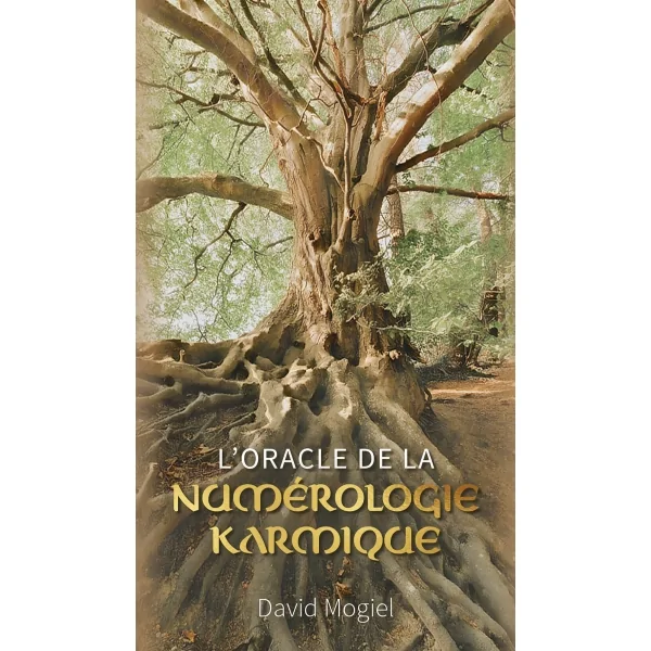 L'Oracle de la Numérologie Karmique - personnalisé | Dans les Yeux de Gaïa
