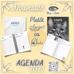 Nouveauté_ange_chat.png
