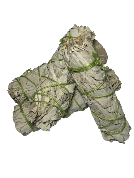sauge blanche à brûler