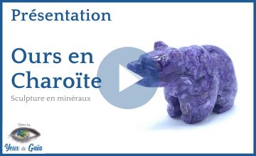 Présentation l'ours en Charoïte