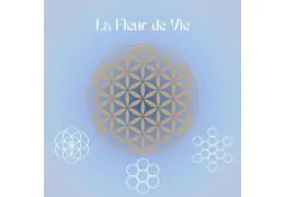 Qu'est-ce que La Fleur de Vie ?